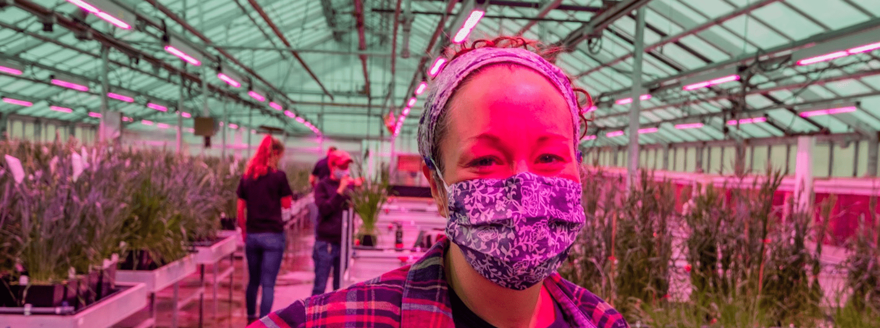 Women in a greenhouse under pink lights